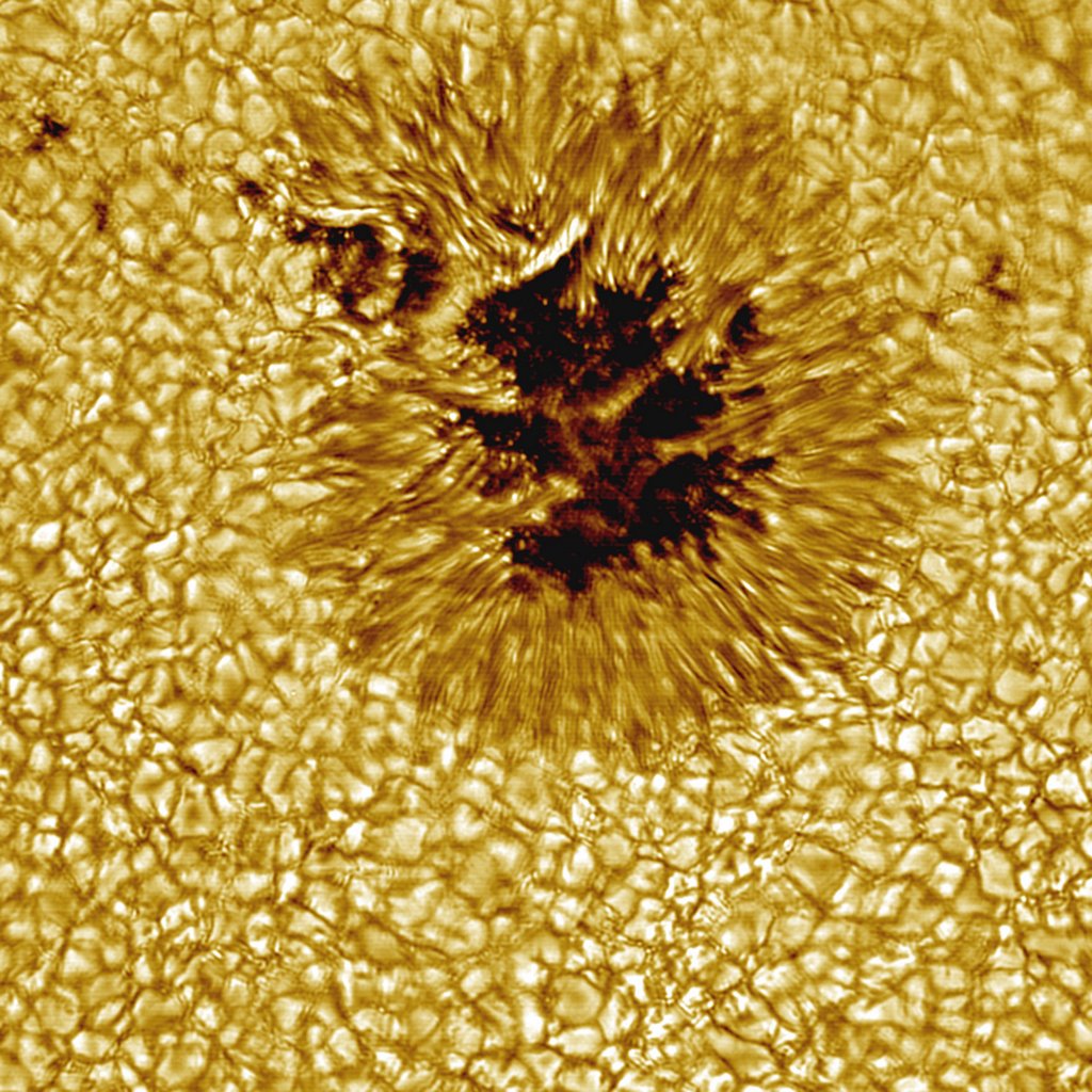 SUNSPOT-798357